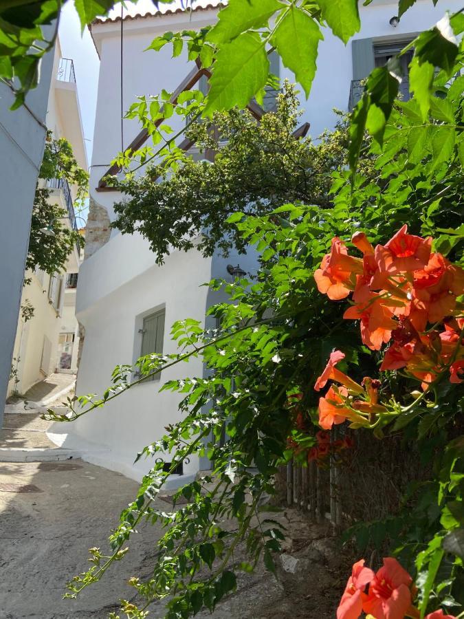Raphael Skiathos Living-Olga Dış mekan fotoğraf