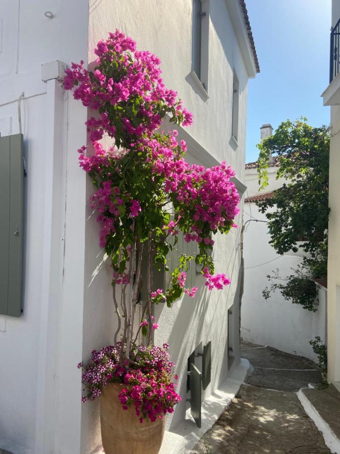 Raphael Skiathos Living-Olga Dış mekan fotoğraf