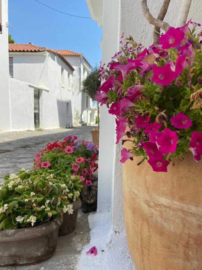 Raphael Skiathos Living-Olga Dış mekan fotoğraf